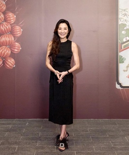 Michelle Yeoh feet photo thumbnail