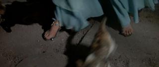 Michèle Mercier feet photo 8