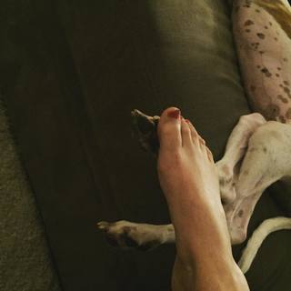 Micol Ronchi feet photo 19