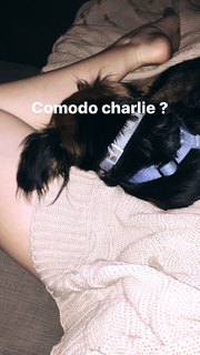 Micol Ronchi feet photo 8