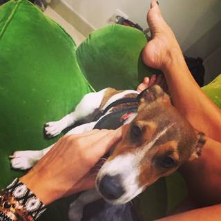 Mihaela Radulescu feet photo 16