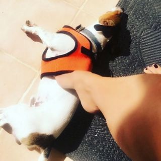 Mihaela Radulescu feet photo 1