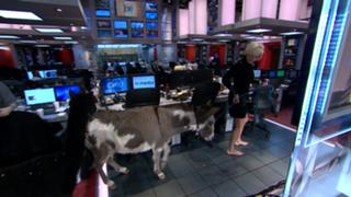 Mika Brzezinski feet photo thumbnail