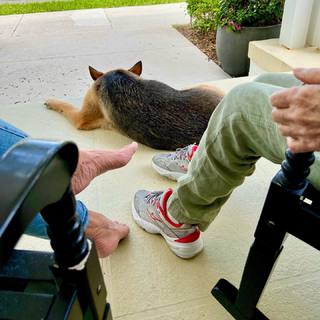 Mika Brzezinski feet photo thumbnail
