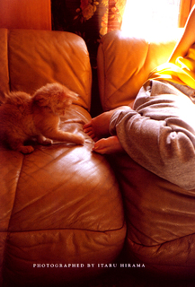 Mika Nakashima feet photo 8