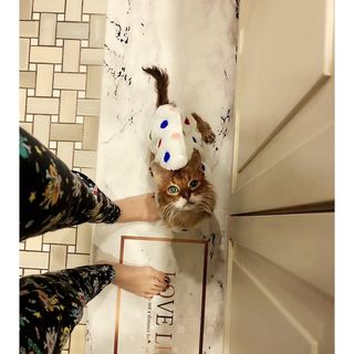 Mika Nakashima feet photo 9