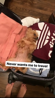 Mikaela Hoover feet photo thumbnail