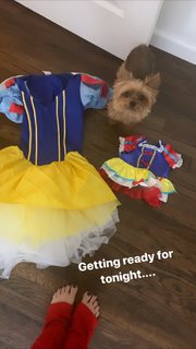 Mikaela Hoover feet photo thumbnail