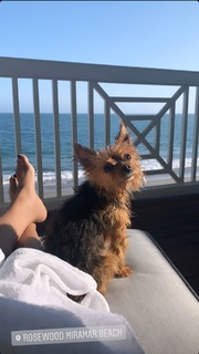 Mikaela Hoover feet photo thumbnail