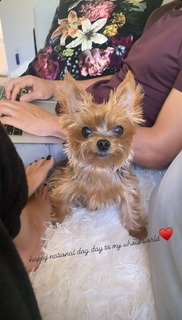 Mikaela Hoover feet photo thumbnail