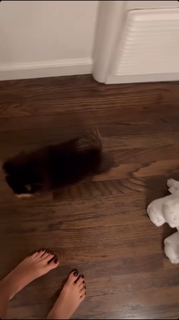 Mikaela Hoover feet photo thumbnail