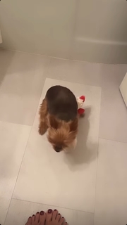 Mikaela Hoover feet photo thumbnail