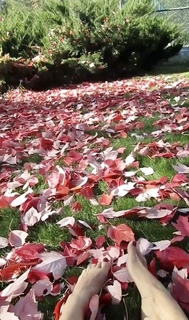 Mikaela Hoover feet photo thumbnail