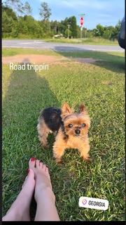 Mikaela Hoover feet photo thumbnail