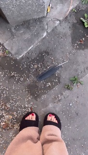 Mikaela Hoover feet photo thumbnail