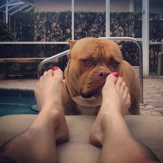 Mikaela Mayer feet photo 2