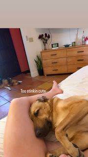 Mikaela Mayer feet photo 2