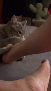 Mikaela Neaze Silva feet photo 12