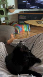 Mikaela Neaze Silva feet photo 3