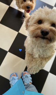 Mikky Kiemeney feet photo 20