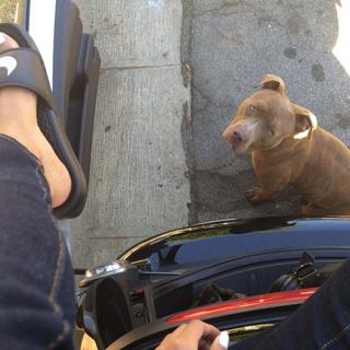 Mila J feet photo 2