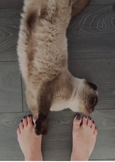 Mila Sivatskaya feet photo 20