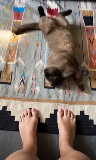 Mila Sivatskaya feet photo 4