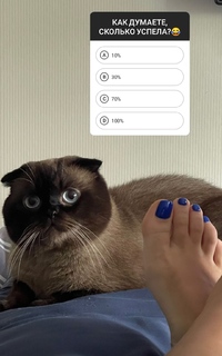 Mila Sivatskaya feet photo 15