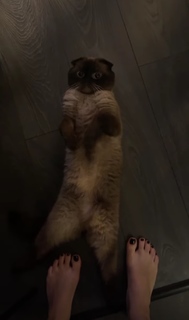 Mila Sivatskaya feet photo 14