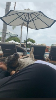 Milana Vayntrub feet photo thumbnail