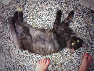 Miley Cyrus feet photo thumbnail