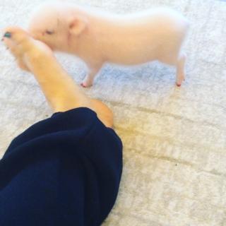 Miley Cyrus feet photo thumbnail