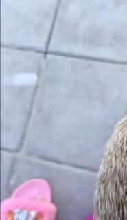 Milla Jasmine feet photo thumbnail