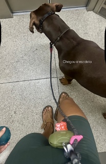 Milla Monteiro feet photo 2