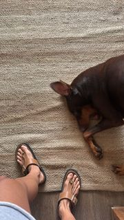 Milla Monteiro feet photo 15