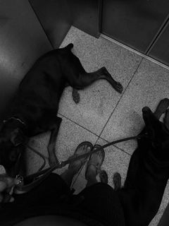 Milla Monteiro feet photo 17