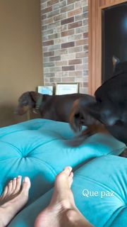 Milla Monteiro feet photo 8