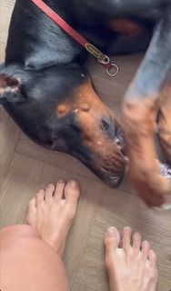 Milla Monteiro feet photo 15