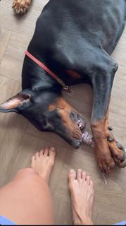 Milla Monteiro feet photo 14