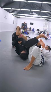 Milla Monteiro feet photo 11
