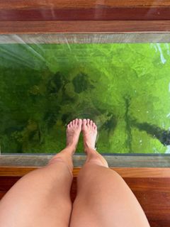 Milla Monteiro feet photo 2