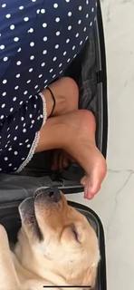 Mimi Chakraborty feet photo 2