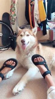 Mimi Elashiry feet photo 12