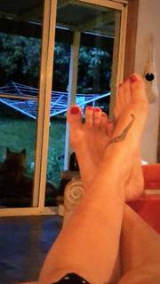 Mimi Elashiry feet photo 12