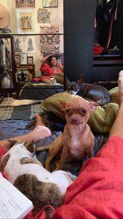 Mimi Elashiry feet photo 17