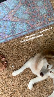 Mimi Elashiry feet photo 4