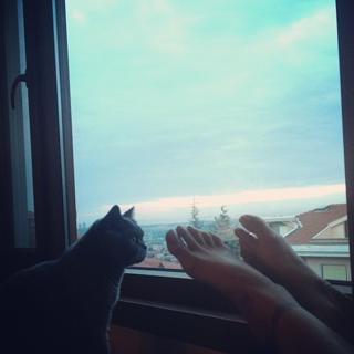 Mine Tugay feet photo thumbnail