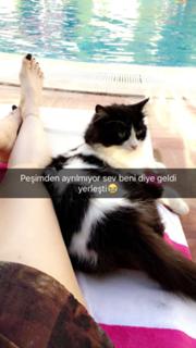 Mine Tugay feet photo thumbnail