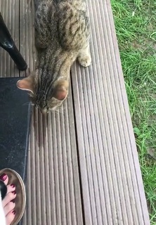 Mine Tugay feet photo thumbnail