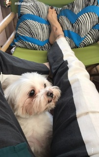 Mine Tugay feet photo thumbnail